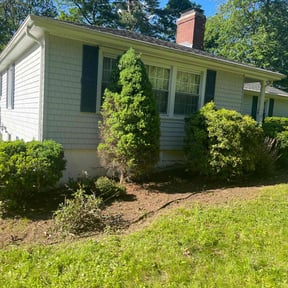 Bush Trimming by J.C.London's Lawn and Landscaping Services LLC reviewed on August 19, 2025