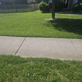 turf care by SFI reviewed on March 17, 2024