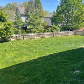 landscape maintenance by Adams Paiz reviewed on August 16, 2025