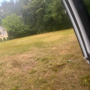 Bush Trimming by Widow Lawn Care reviewed on January 20, 2024