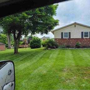 landscaping by M&amp;M's Lawn Services reviewed on March 25, 2024