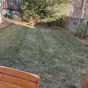 Leaf Removal by B and B Landscaping reviewed on November 23, 2025