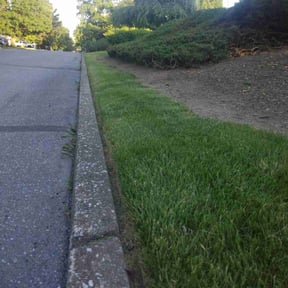 lawn maintenance by First Responders Lawn and Landscape LLC reviewed on April 15, 2024