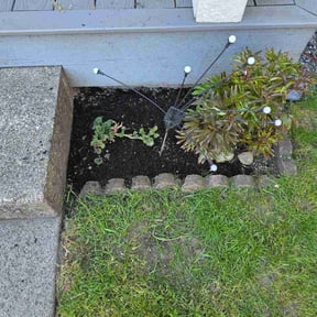 Flower Bed Weeding by Vero one landscaping reviewed on April 28, 2026