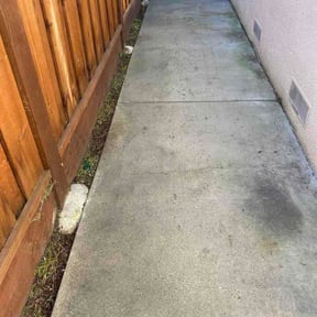 Bush Trimming by Frank’s Gardening Service reviewed on April 13, 2026