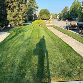 yard maintenance by Mann's Construction LLC reviewed on November 26, 2025