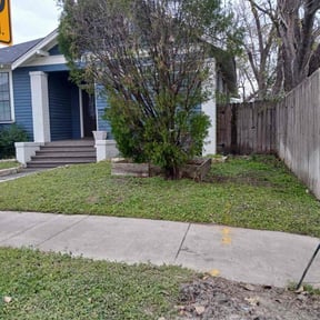 Leaf Removal by Scripted Lawn Services reviewed on September 19, 2025