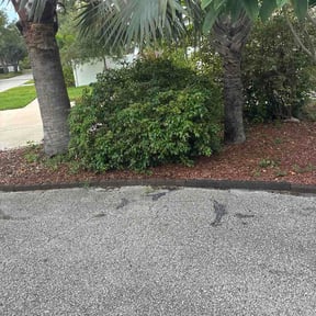 Bush Trimming by Top hawg lawn care reviewed on July 31, 2026
