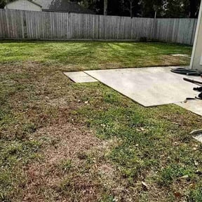 Leaf Removal by Dwayne Coley reviewed on September 14, 2025