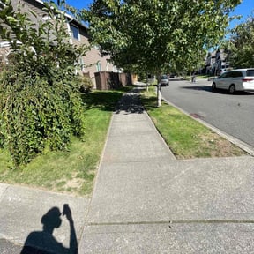 yard care by Deal's Lawn Maintenance reviewed on August 14, 2025