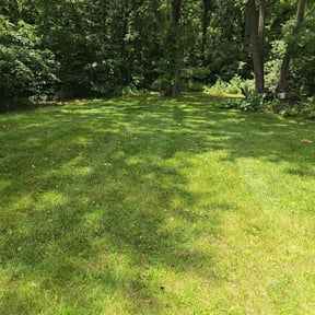 yard maintenance by Lawn Lovers Landscaping reviewed on August 21, 2025