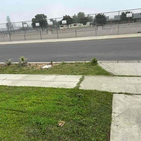 Flower Bed Weeding by Blade &amp; Root LLC reviewed on October 18, 2025