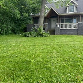 landscaping services by Sun city lawn care reviewed on August 15, 2025