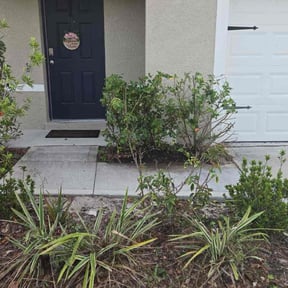 Bush Trimming by Pricision Cleaning and Lawn Services reviewed on August 16, 2025