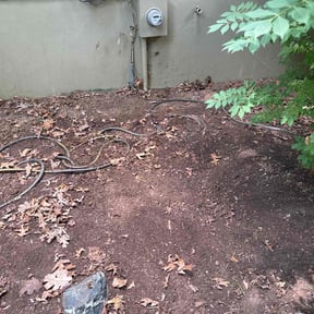 Leaf Removal by Cleancut Landscaping reviewed on September 21, 2025