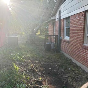 Bush Trimming by Pegasus Property Services reviewed on November 24, 2025