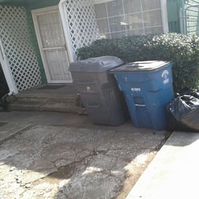 Bush Trimming by Metro home services reviewed on June 30, 2023