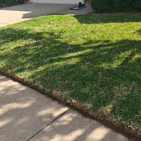 Leaf Removal by Professional Lawn &amp; Landscape LLC reviewed on June 10, 2026
