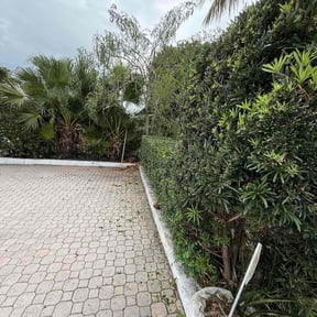 Bush Trimming by GMP Solutions reviewed on February 1, 2026