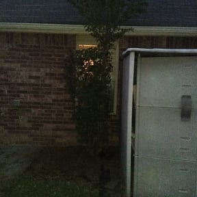 Bush Trimming by Lawn Pro reviewed on August 18, 2025