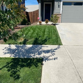 turf maintenance by Corte de césped reviewed on May 2, 2025