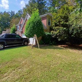 Bush Trimming by Grounds Team Landscaping LLC reviewed on December 11, 2025