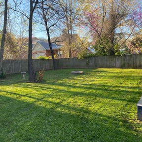 yard service by Ort&#039;z VIP Landscaping reviewed on August 17, 2025