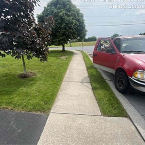 Cleanups by Supreme Home Services reviewed on December 13, 2024