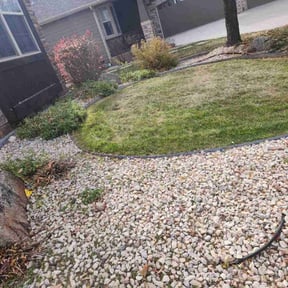 Leaf Removal by Just Lawns LLC reviewed on November 19, 2025