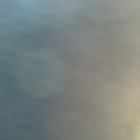 Leaf Removal by Procuts Lawn Care reviewed on September 24, 2025