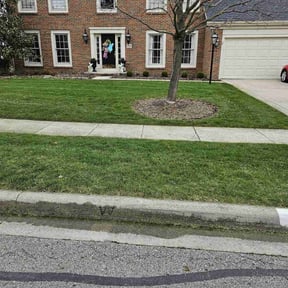 landscape maintenance by LawnMax reviewed on August 20, 2025