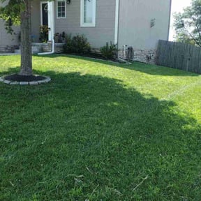 yard maintenance by Alwaysready landscaping reviewed on November 25, 2025