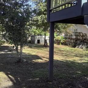 Leaf Removal by Capitol Lawn Company reviewed on September 29, 2025