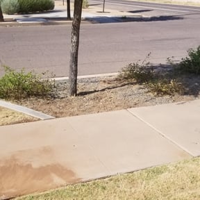 Flower Bed Weeding by Cuellar Lawn Services reviewed on March 26, 2025