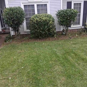 Bush Trimming by Royce Art Group reviewed on November 5, 2025