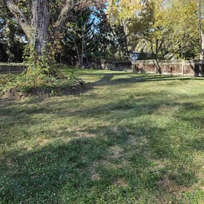 Leaf Removal by MB Lawns &amp; Mobile Wash LLC reviewed on September 11, 2025