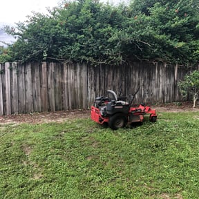 Bush Trimming by Saints lawn care reviewed on June 9, 2021