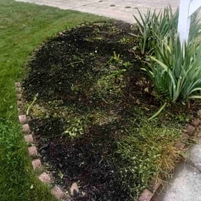 Flower Bed Weeding by Verde Lawn and Property Management reviewed on November 10, 2025