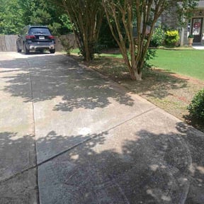 Leaf Removal by Brandon Figaro reviewed on May 30, 2026
