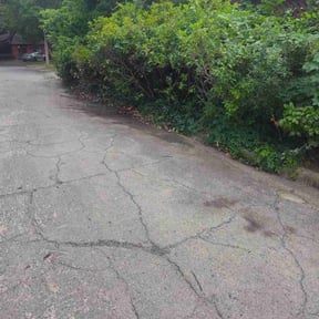 Bush Trimming by J,B AND G LAWN CARE reviewed on June 28, 2020