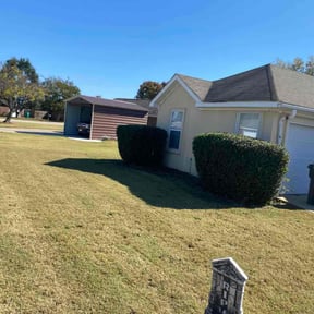 Bush Trimming by Land Decor Inc. reviewed on December 2, 2025