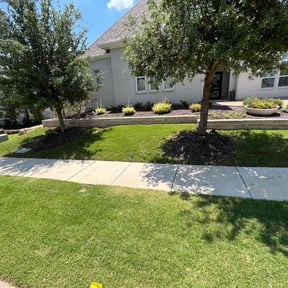 yard service by Sustain Tec, LLC reviewed on August 17, 2025