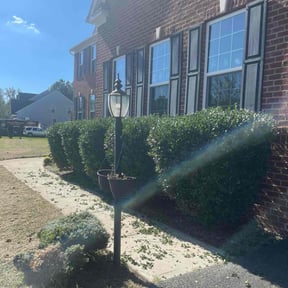 Bush Trimming by J$ remodel reviewed on April 24, 2024