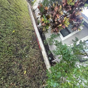 Leaf Removal by Poor Boy Grounds Management reviewed on September 21, 2025