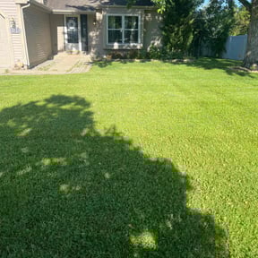 landscaping services by Tropicare Landscape and Maintenance reviewed on August 17, 2025