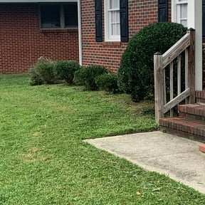 Bush Trimming by E-Lawncare reviewed on August 15, 2025