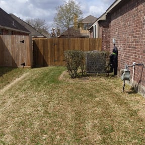 Bush Trimming by KCT Landscaping  reviewed on September 13, 2024