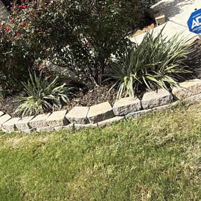 Flower Bed Weeding by Professional Cuts reviewed on June 28, 2026