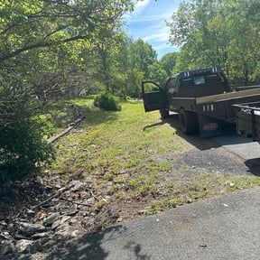 Leaf Removal by Fazal Management Group LLC reviewed on June 9, 2026