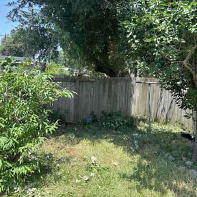 Bush Trimming by Peak Lawns LLC reviewed on July 29, 2026